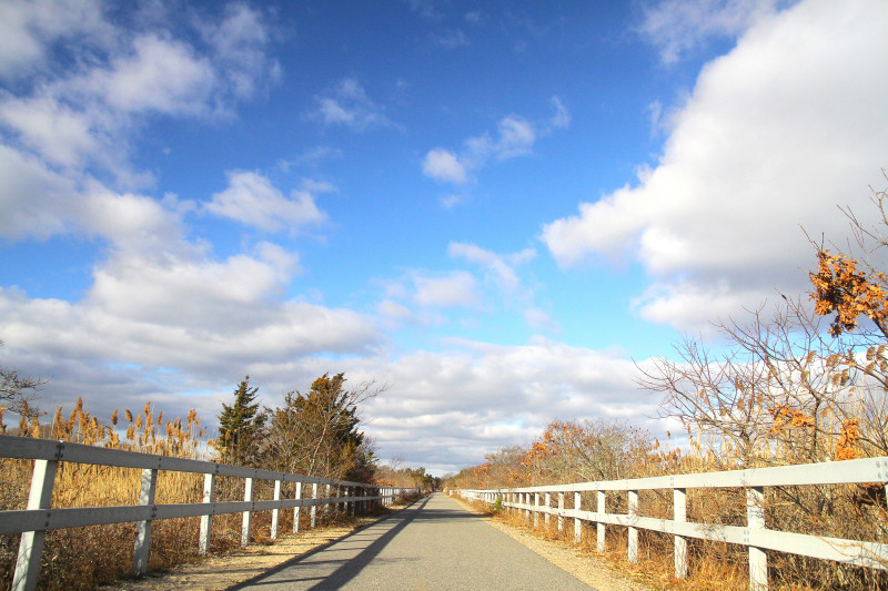 Shining Sea Bikeway through a salt marsh in Falmouth