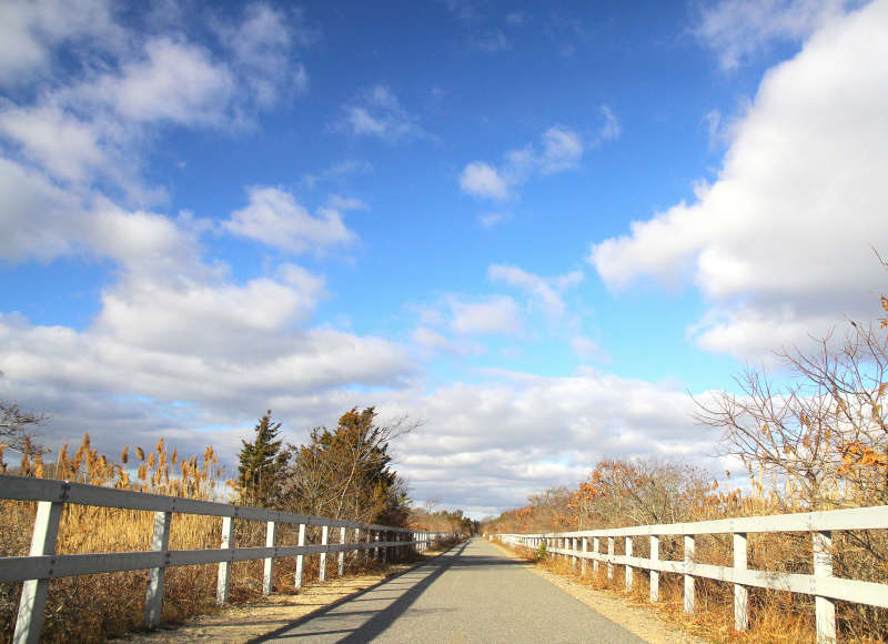 Shining Sea Bikeway through a salt marsh in Falmouth