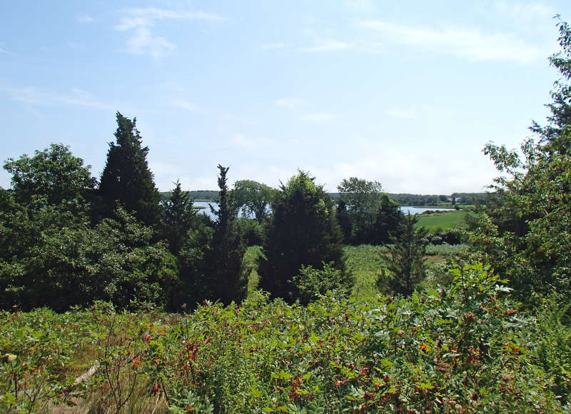 view of the Slocums River from the Slocum's River Reserve in Dartmouth