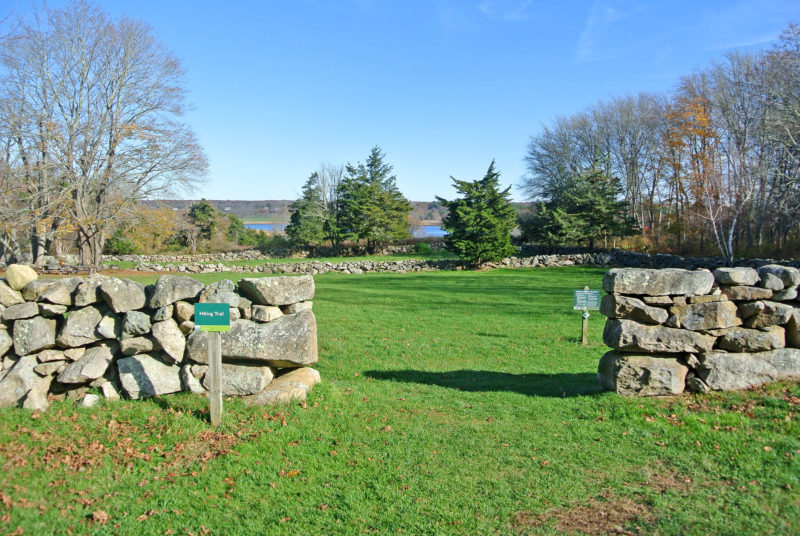 trail through a stone wall at Westport Town Farm