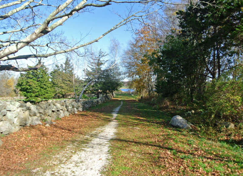 trail along a stone wall at Westport Town Farm