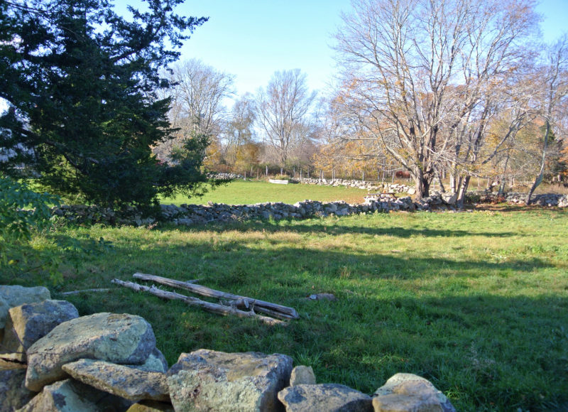 restored stone walls at Westport Town Farm