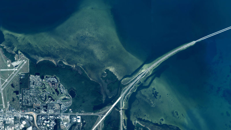 aerial photo of seagrasses along the coast of Tampa Bay