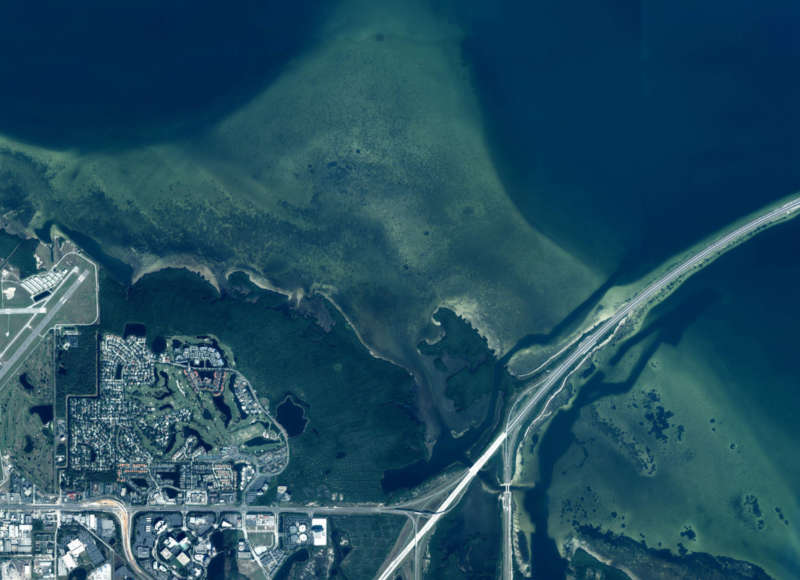 aerial photo of seagrasses along the coast of Tampa Bay