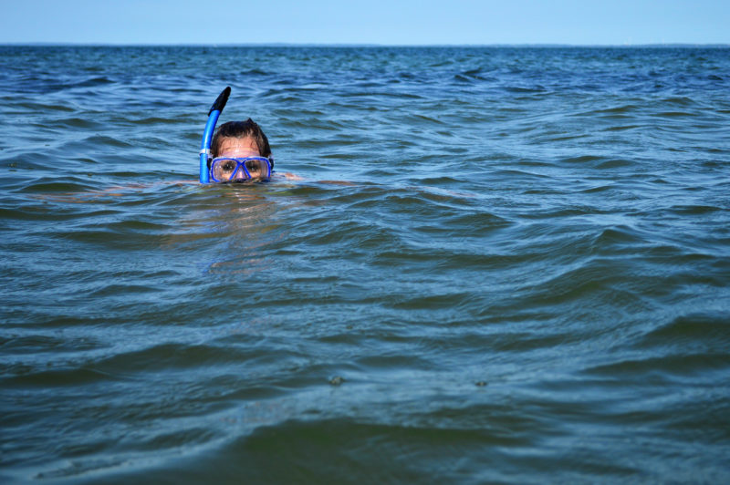 a woman snorkeling at West Island in Buzzards Bay