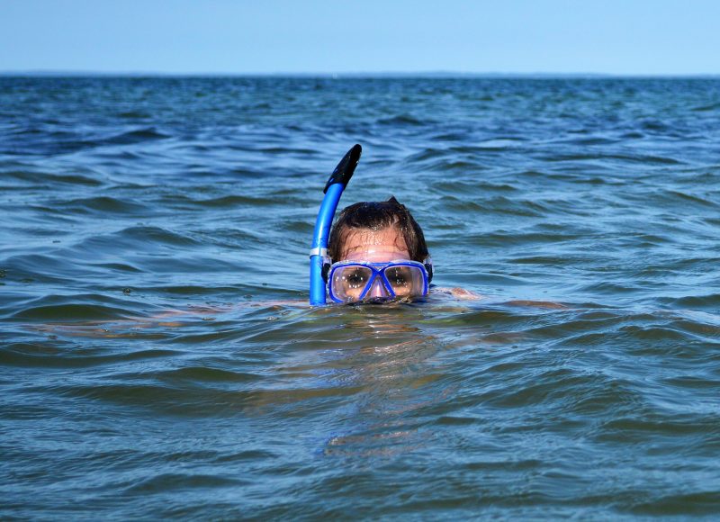 a woman snorkeling at West Island in Buzzards Bay