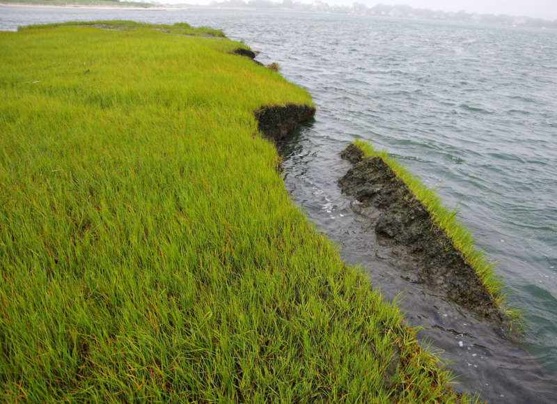 salt marsh erosion on the Westport River