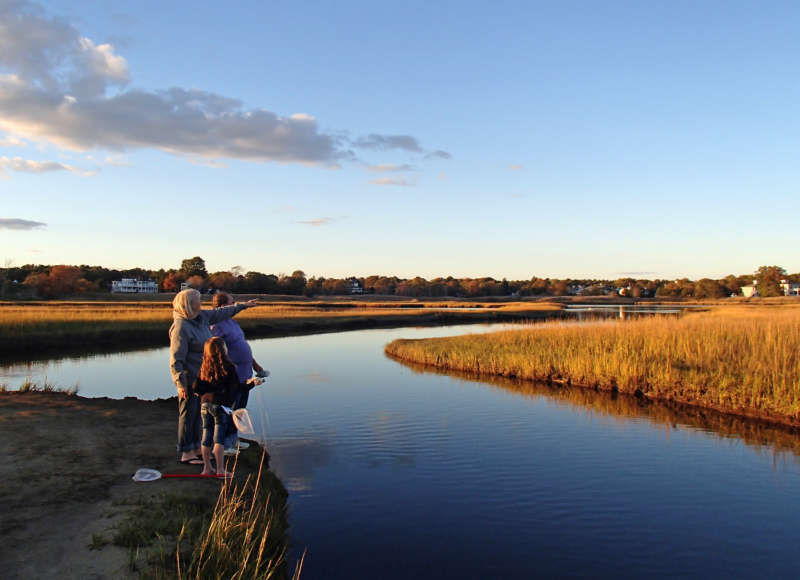 family standing by the edge of a salt marsh on Eel Pond in Mattapoisett