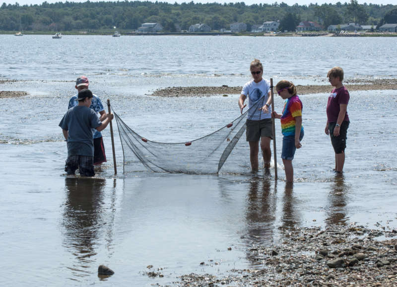 a group of kids holding a seine net in the water at Shining Tides Beach in Mattapoisett