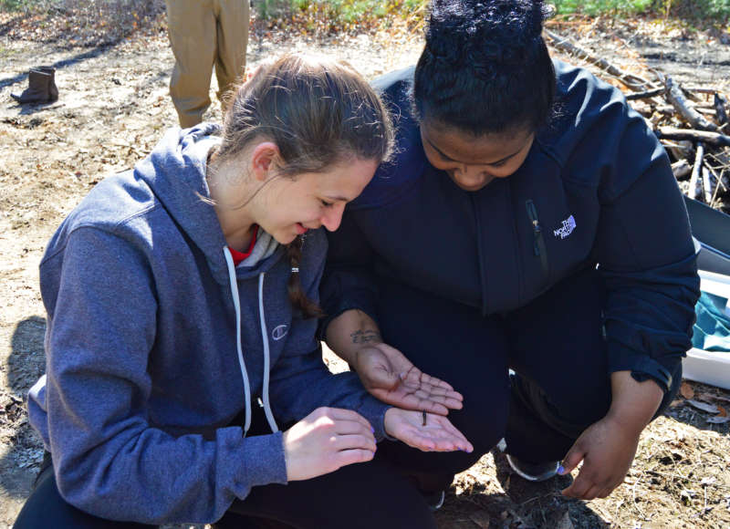 two high school girls look at an insect in their hands