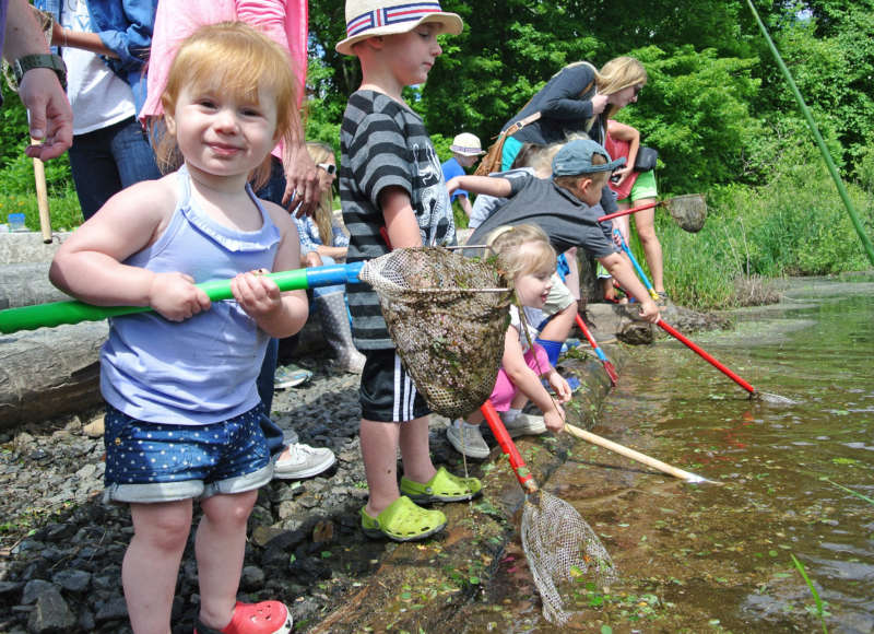 kids exploring the edge of the Acushnet River with nets