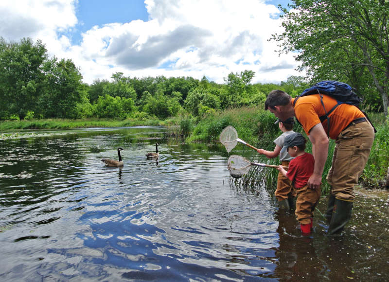 a father with two young sons standing at the edge of the Acushnet River looking at a Canada goose