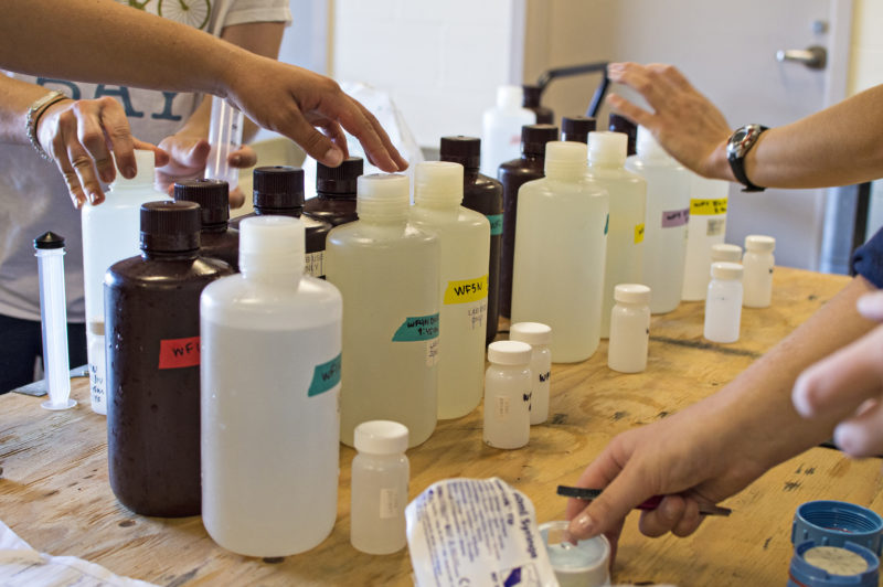 bottles full of water samples collected from Buzzards Bay