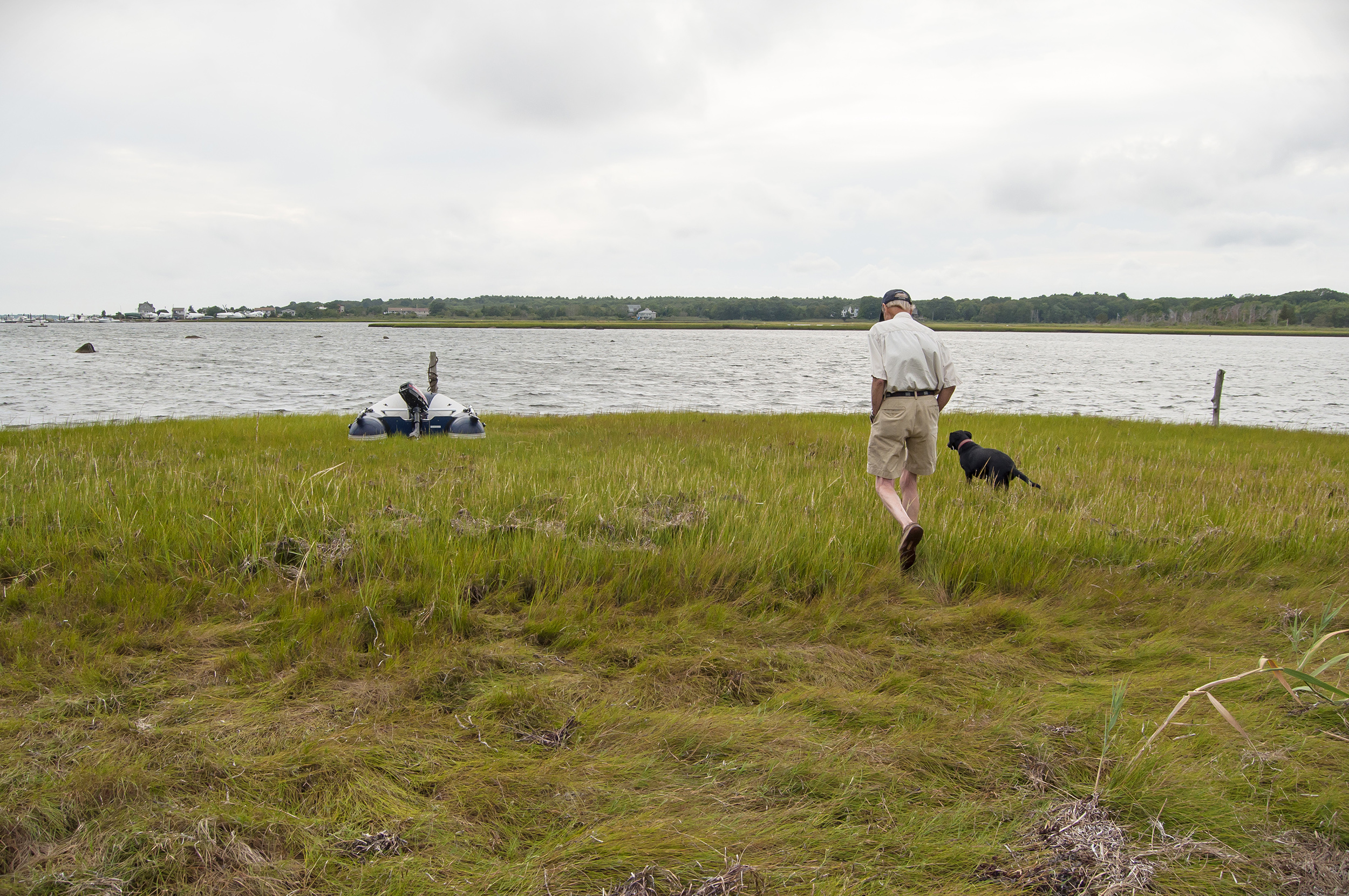 a man and dog walk across a salt marsh on Brandt Island Cove in Mattapoisett