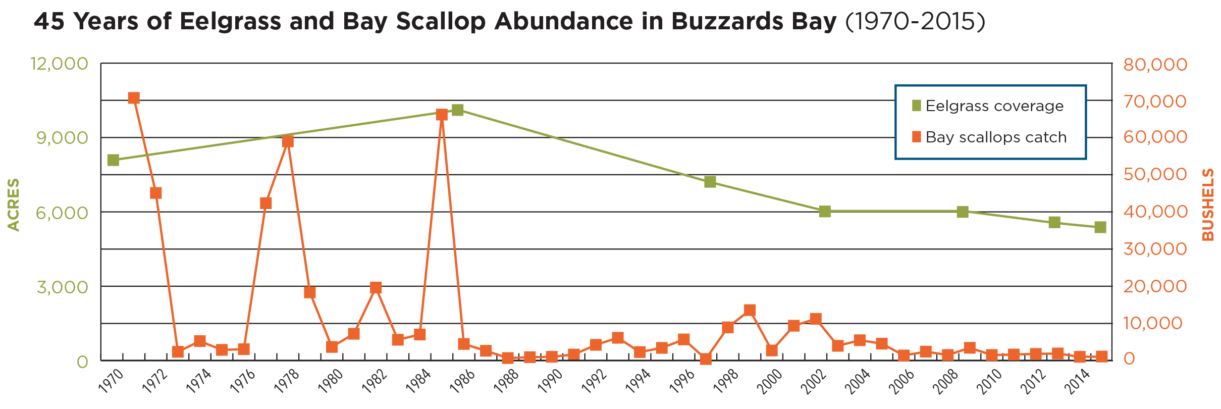 graph showing eelgrass acreage and bay scallop harvests in Buzzards Bay from 1970 to 2015