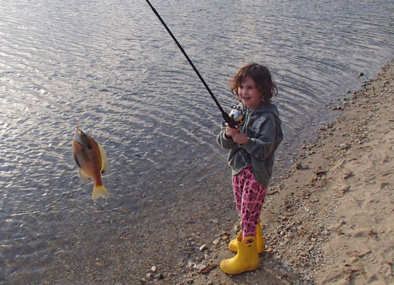 a young girl catches a sunfish at a pond at Myles Standish State Forest