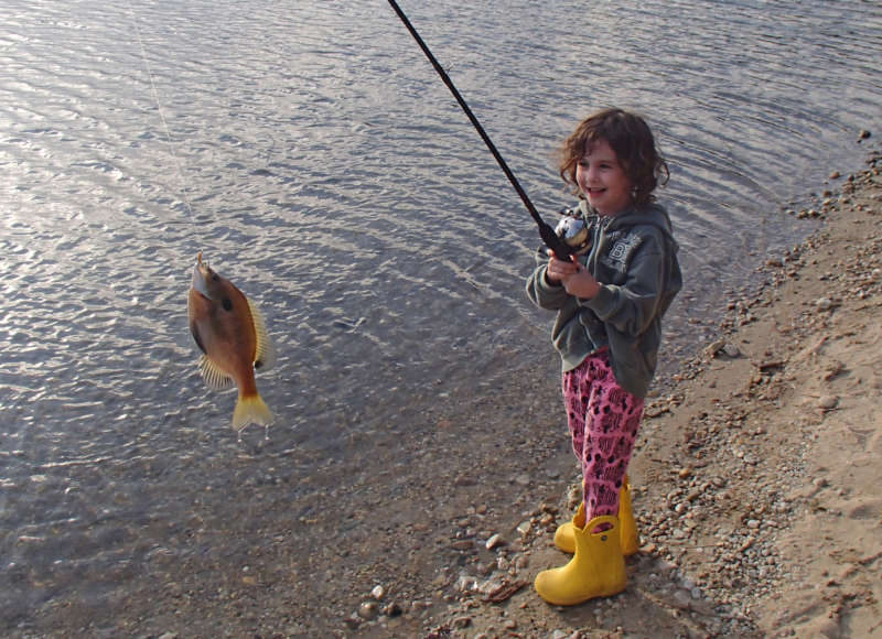 a young girl catches a sunfish at a pond at Myles Standish State Forest