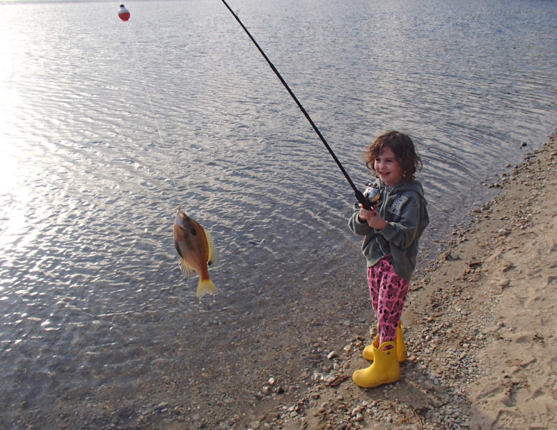 a young girl catches a sunfish at a pond at Myles Standish State Forest