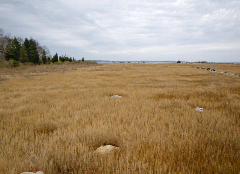 Viveiros Dairy Farm along the shores of Nasketucket Bay in Fairhaven