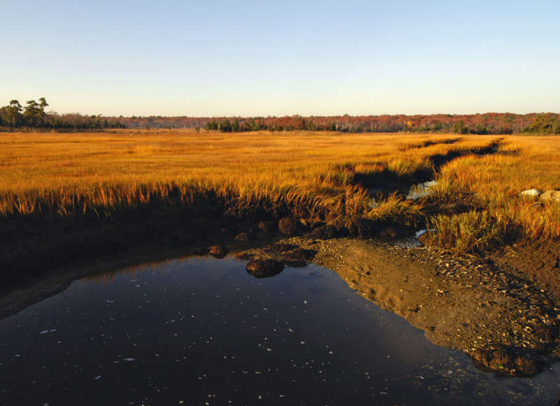 Copper Beach Farm along the shores of Brandt Island Cove in Mattapoisett