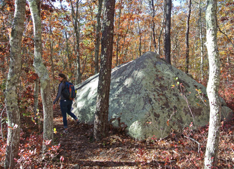 a woman hiking past a large boulder at Beebe Woods in Falmouth