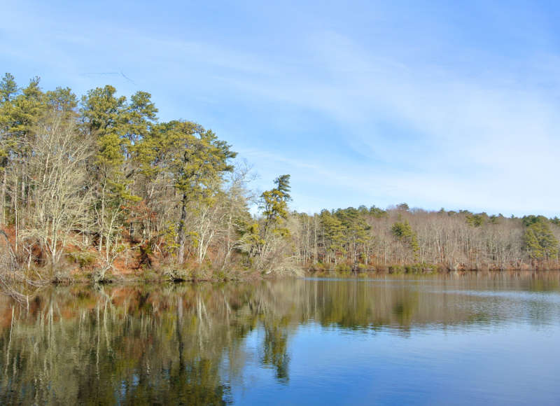 Halfway Pond at the Wildlands Trust property in Plymouth