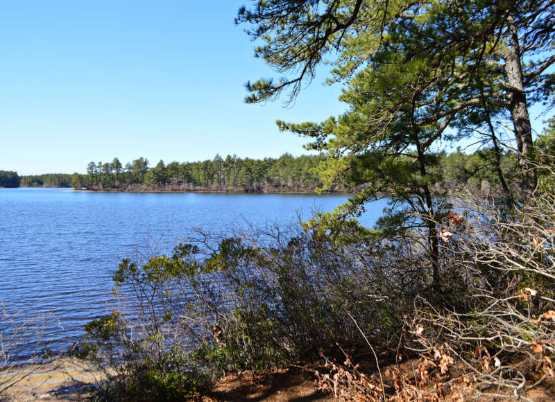 kettle pond at Myles Standish State Forest