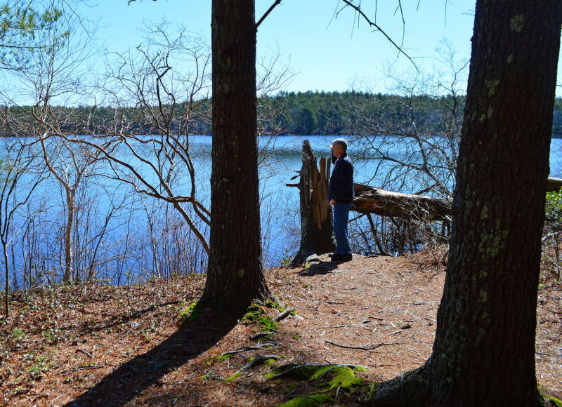 a man standing next to a kettle pond at Myles Standish State Forest