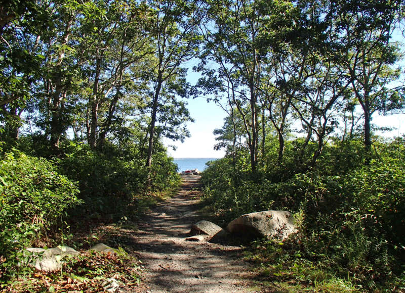 trail through West Island State Reservation