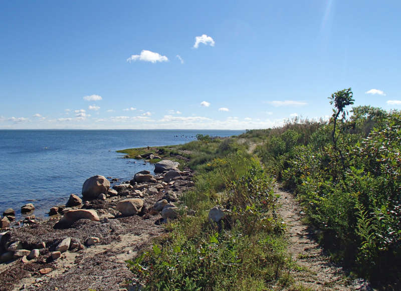 trail along Nasketucket Bay at West Island State Reservation