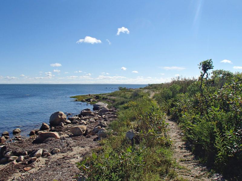 trail along Nasketucket Bay at West Island State Reservation