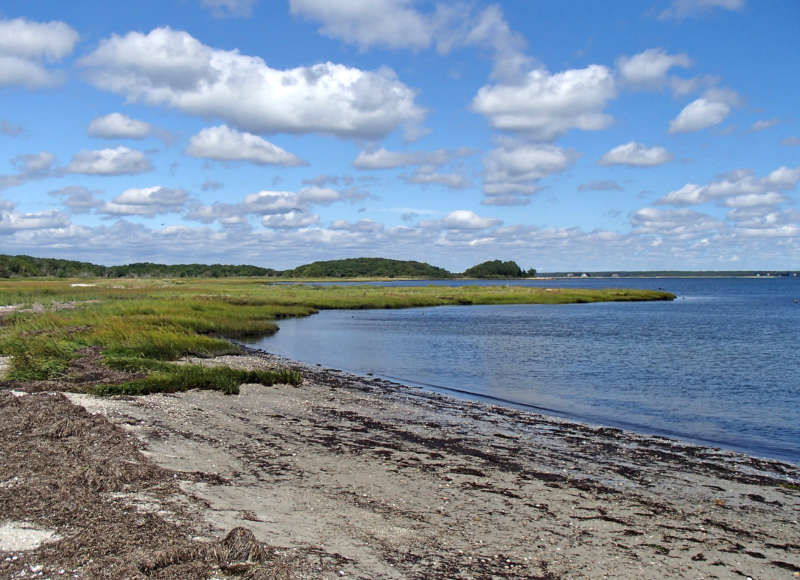 salt marsh at West Island State Reservation