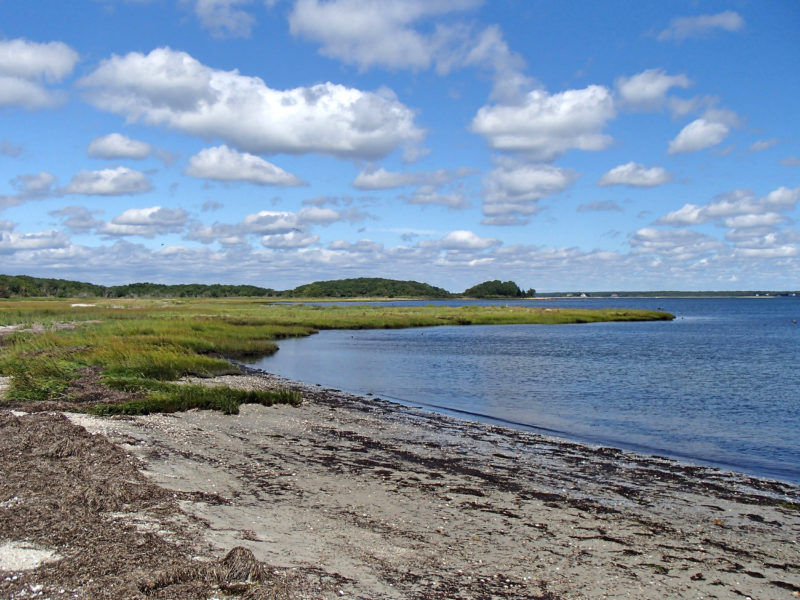 salt marsh at West Island State Reservation