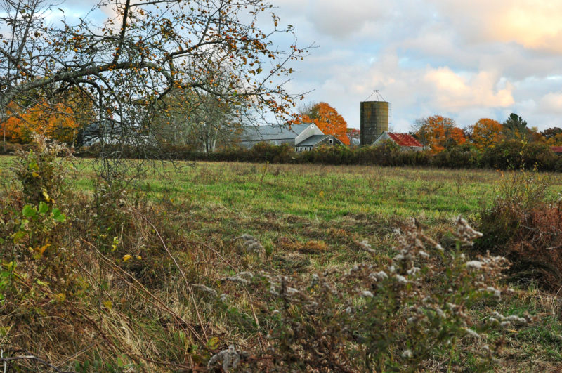 farm among fall foliage at Cornell Farm in Dartmouth