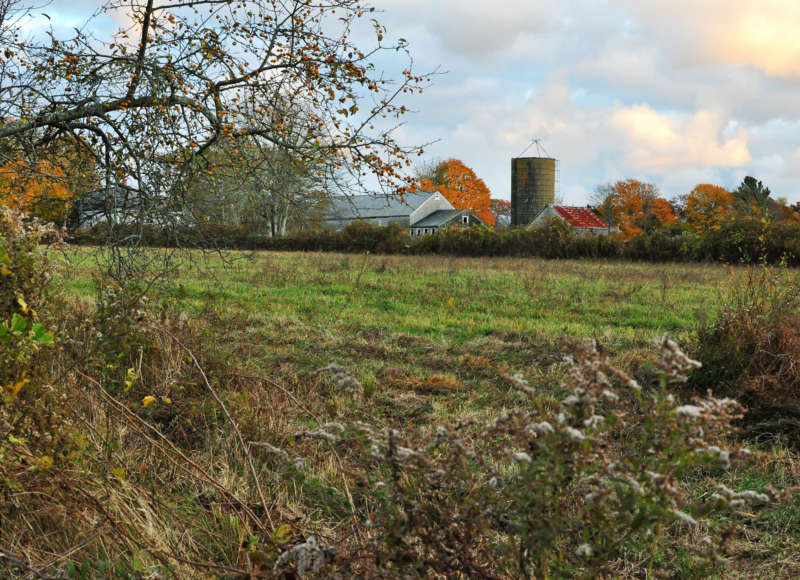 farm among fall foliage at Cornell Farm in Dartmouth