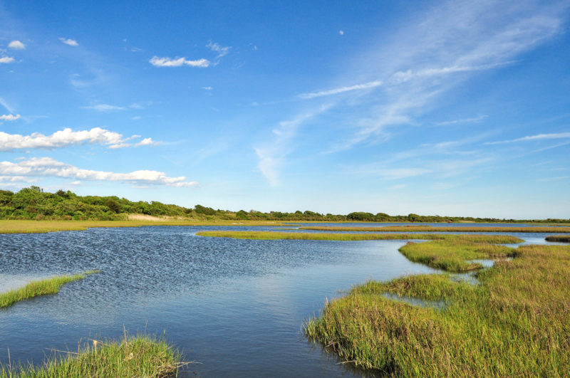 salt marsh and coastal forests along Allens Pond in Dartmouth