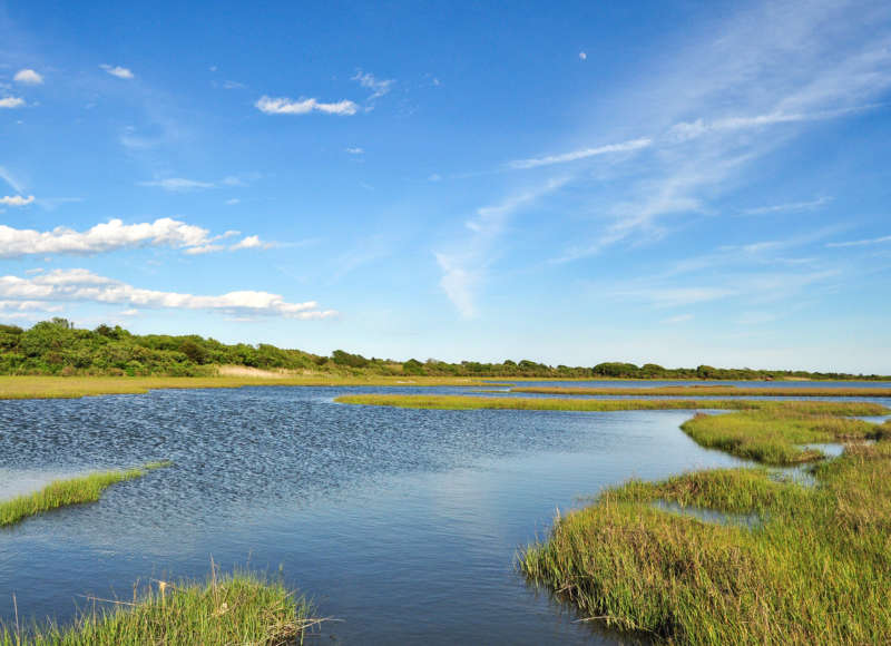 salt marsh and coastal forests along Allens Pond in Dartmouth