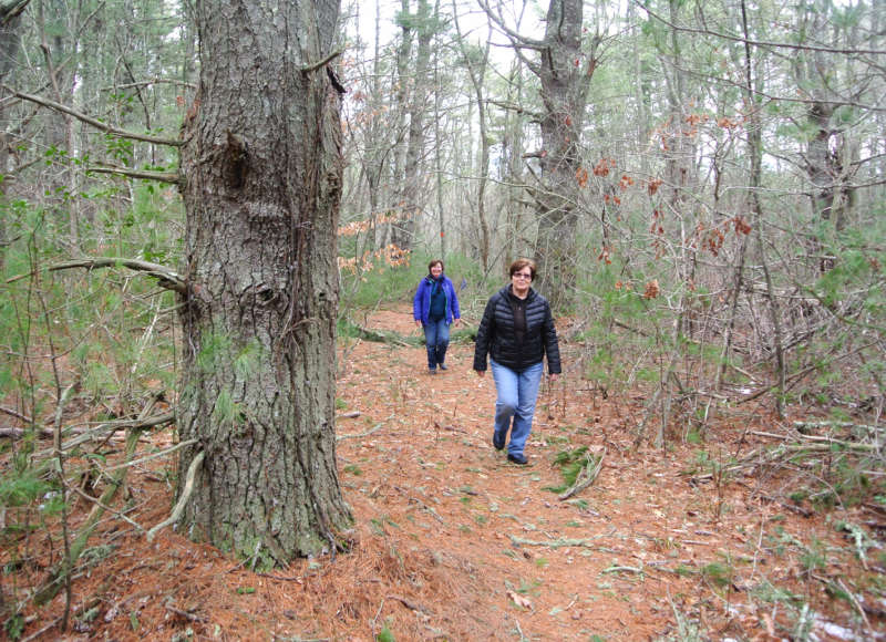 two women walking through the woods at Destruction Brook Woods in Dartmouth