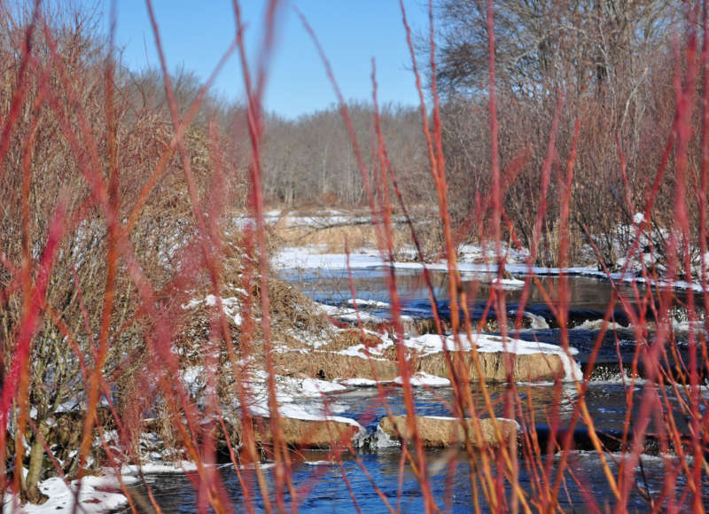 Acushnet River in winter at The Sawmill