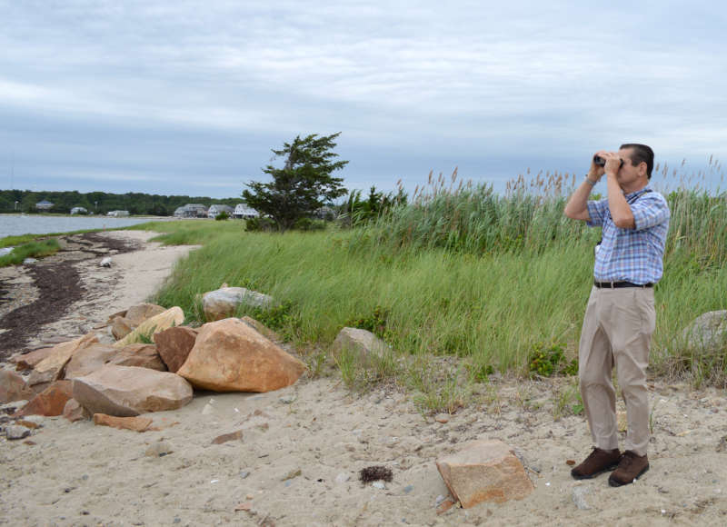 a man looking for birds through binoculars while standing on a beach at Nasketucket Bay State Reservation in Fairhaven