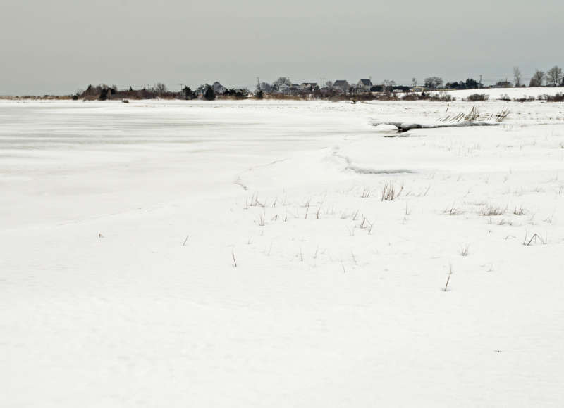 snowy Allens Pond in winter