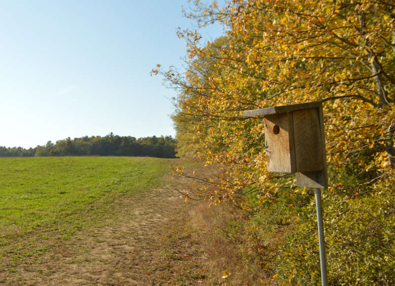 bluebird box in a field at Betty's Neck in Lakeville