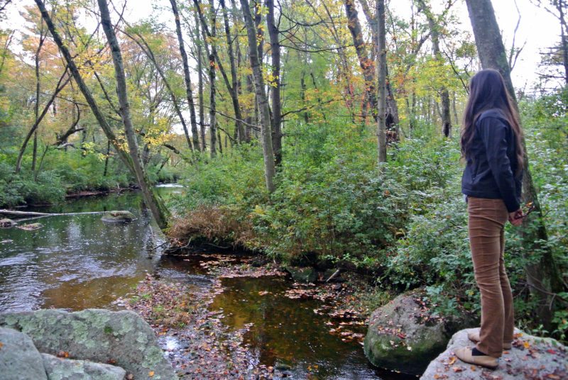 a woman standing on a rock looking at a stream on the Westport River at Brookside Conservation Area