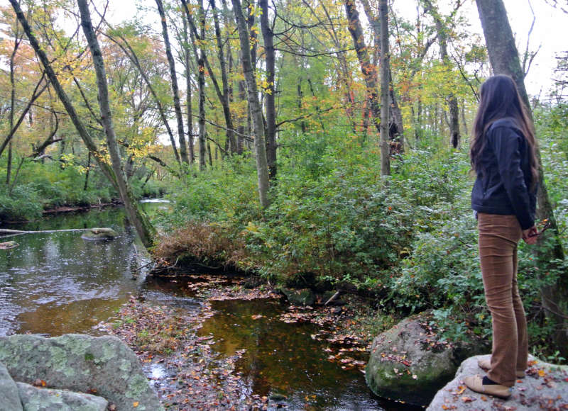 a woman standing on a rock looking at a stream on the Westport River at Brookside Conservation Area