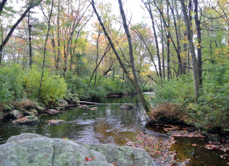 view of Bread and Cheese Brook from Brookside Conservation Area in Westport