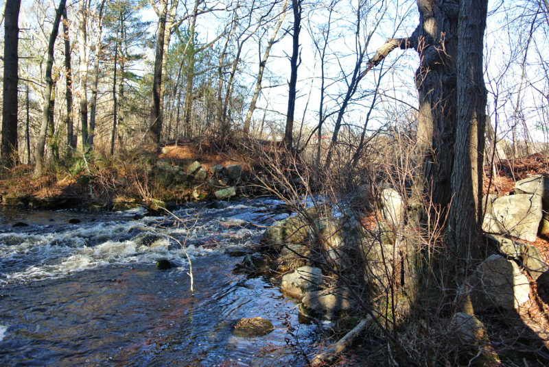 Noquochoke River from Mill Pond Conservation Area in Westport