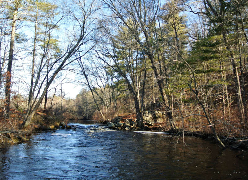 Noquochoke River from Mill Pond Conservation Area in Westport