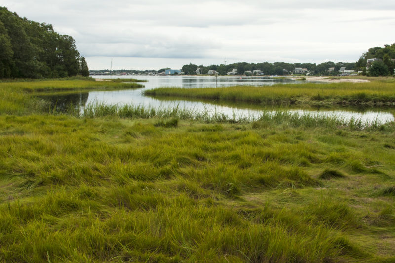 Red Brook flowing into Buttermilk Bay at the Lyman Reserve in Bourne