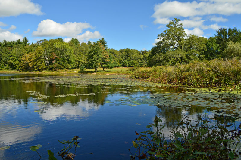 Tinkham Pond at the Mattapoisett River Reserve