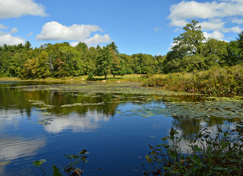 Tinkham Pond at the Mattapoisett River Reserve